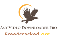 Any Video Downloader Crack
